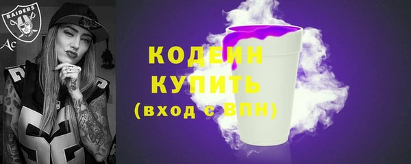 шишки Арсеньев