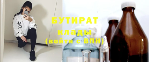 шишки Арсеньев
