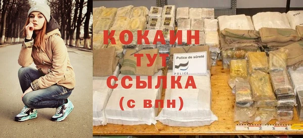 шишки Арсеньев