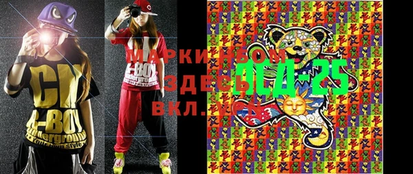 шишки Арсеньев