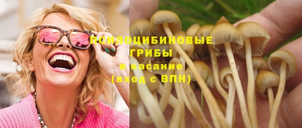 спиды Аркадак